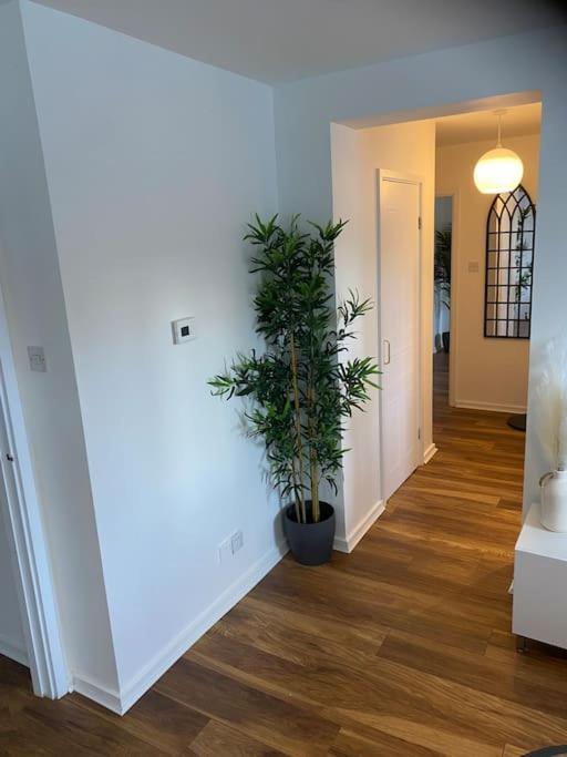 Apartment Perfectly Situated Luxury 2 Bedroom